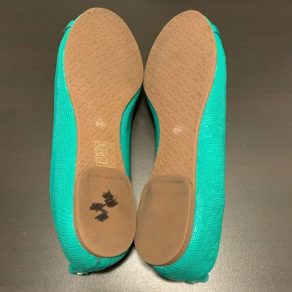 TORY BURCH‎ Matte Micro Tejus Print Mini Miller Flat in Pond Green - Picture 4 of 11